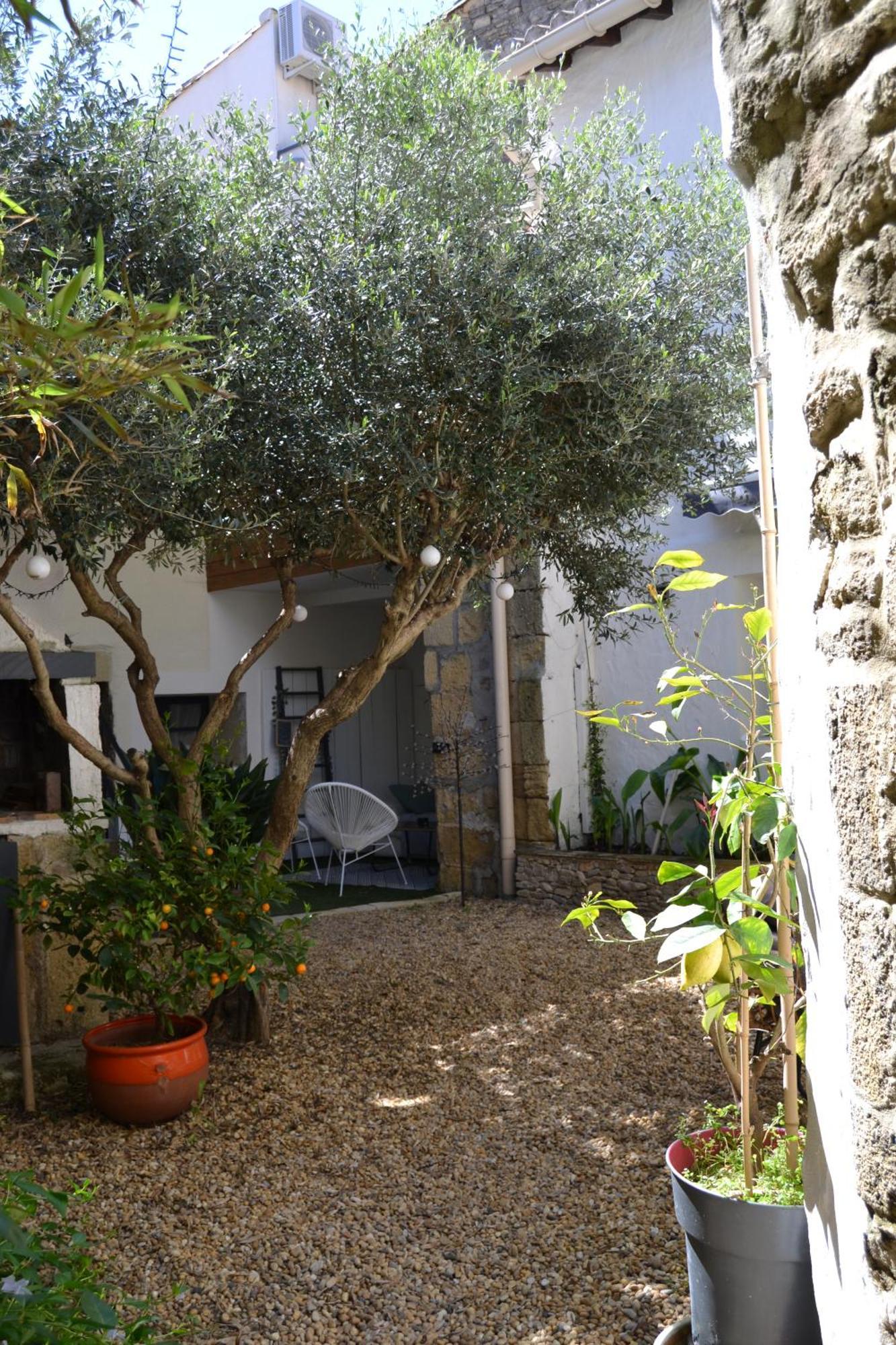 La Cachette Bed & Breakfast Aigues-Vives  ภายนอก รูปภาพ